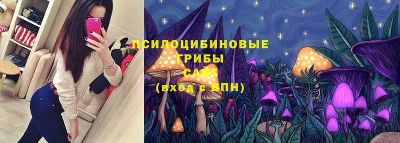 Псилоцибиновые грибы Magic Shrooms  цена наркотик  Верхний Уфалей 